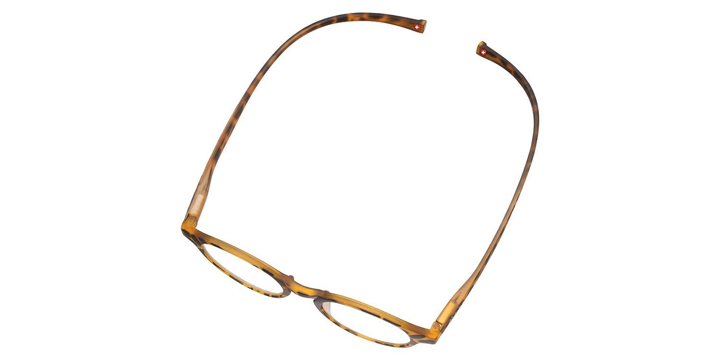 Montana Leesbril MR60A Turtle Magneetbril